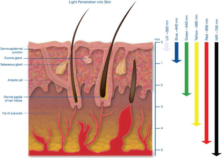 An Informative Guide on Exploring the Effects of LLLT in Hair Loss Treatment